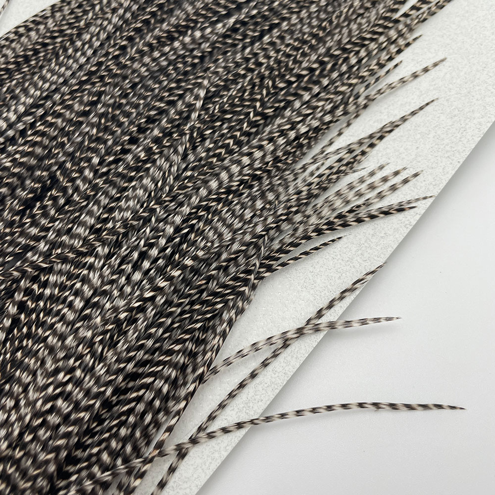 KEOUGH ���å����ɥ롡���졼��1�� �ʥ��ꥺ�꡼�� No.6