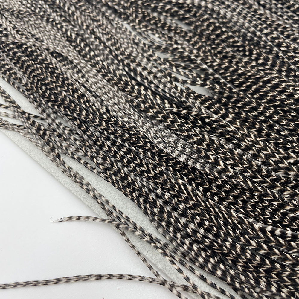 KEOUGH ���å����ɥ롡���졼��1�� �ʥ��ꥺ�꡼�� No.6