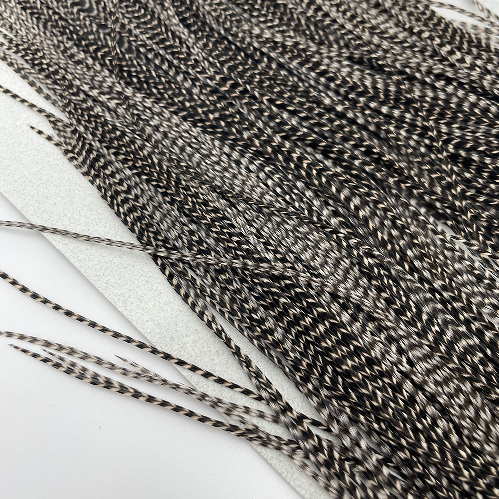 KEOUGH ���å����ɥ롡���졼��1�� �ʥ��ꥺ�꡼�� No.6