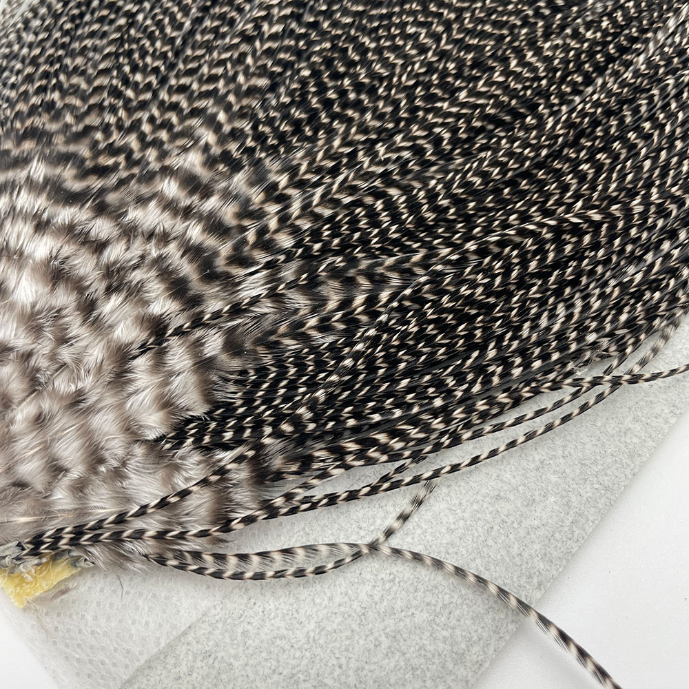 KEOUGH ���å����ɥ롡���졼��1�� �ʥ��ꥺ�꡼�� No.6