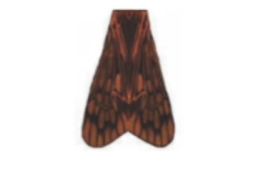 VANIA�ҡ����ǥ���������