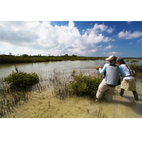 KBullet ɿХåѥå [M36 001]