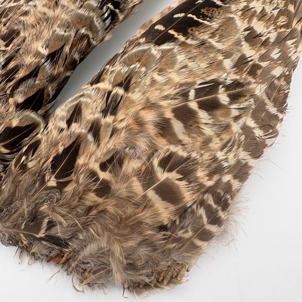 CANAL�ҡ��إ�ե������ �����󥰡���CN253��