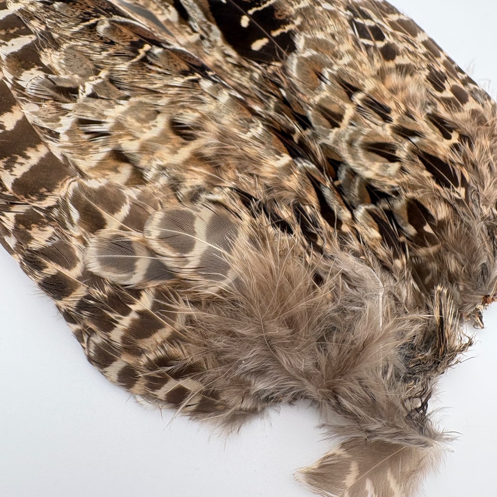 CANAL�ҡ��إ�ե������ �����󥰡���CN253��