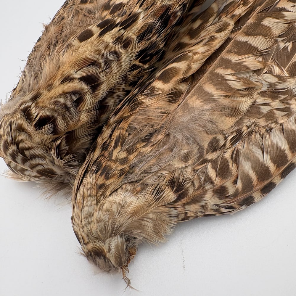 CANAL�ҡ��إ�ե������ �����󥰡���CN253��