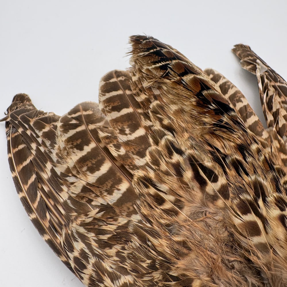 CANAL�ҡ��إ�ե������ �����󥰡���CN253��