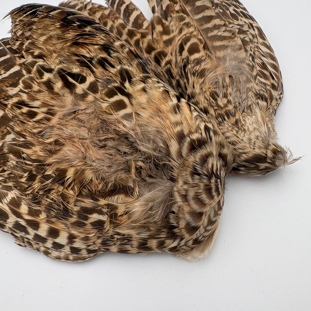 CANAL�ҡ��إ�ե������ �����󥰡���CN253��