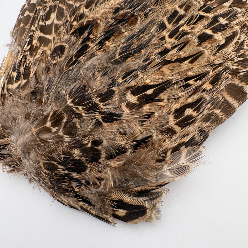 CANAL�ҡ��إ�ե������ �����󥰡���CN253��