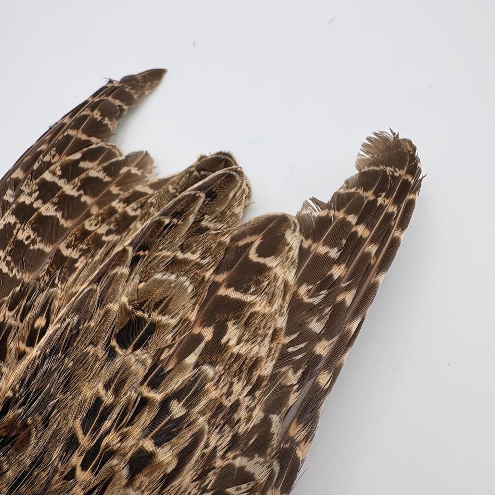 CANAL�ҡ��إ�ե������ �����󥰡���CN253��