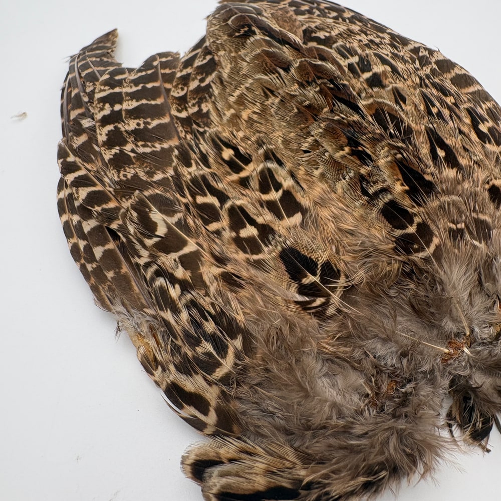 CANAL�ҡ��إ�ե������ �����󥰡���CN253��