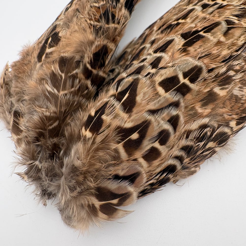 CANAL�ҡ��إ�ե������ �����󥰡���CN253��