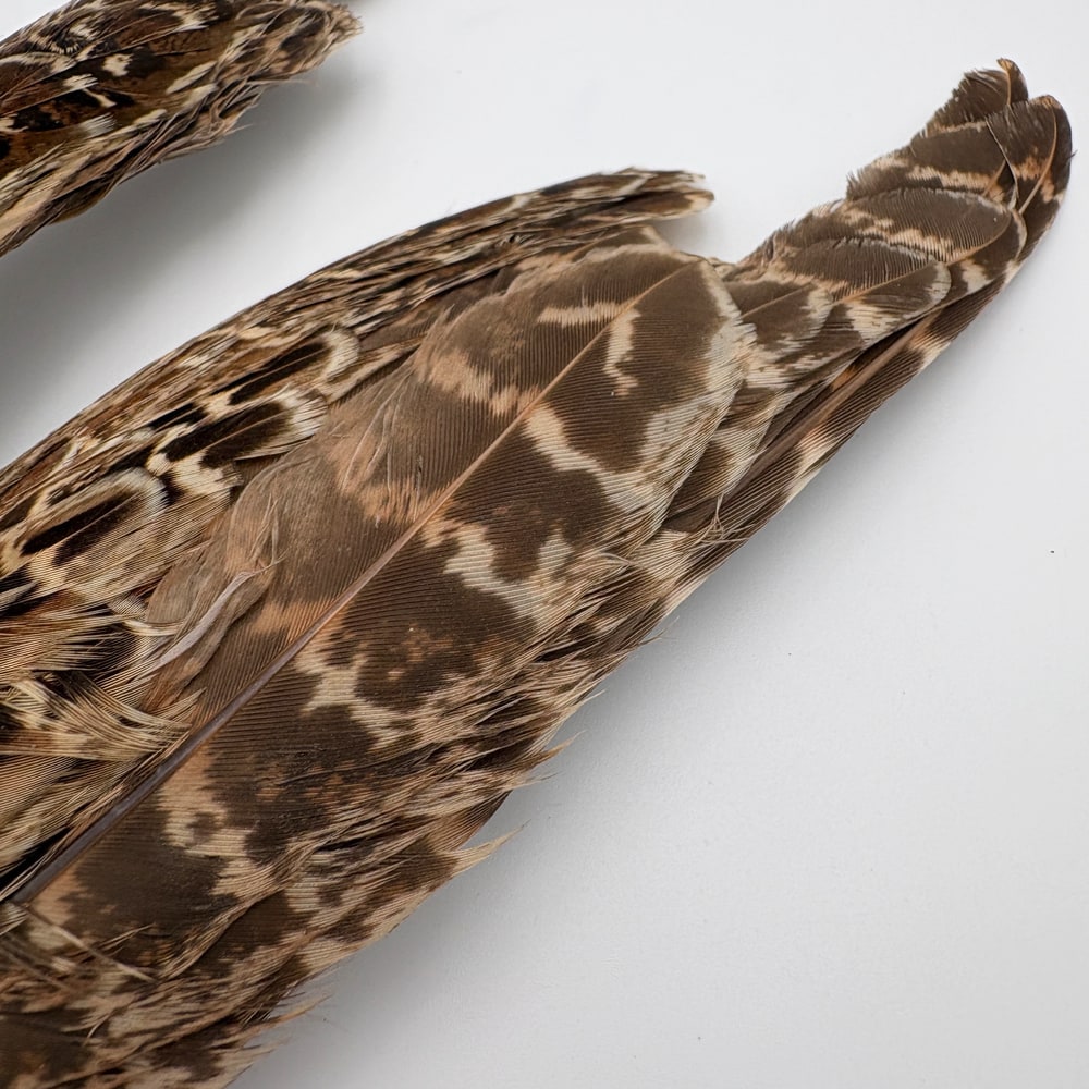 CANAL�ҡ��إ�ե������ �����󥰡���CN253��