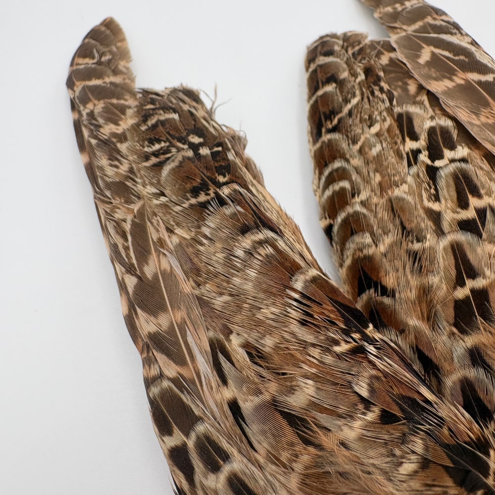 CANAL�ҡ��إ�ե������ �����󥰡���CN253��