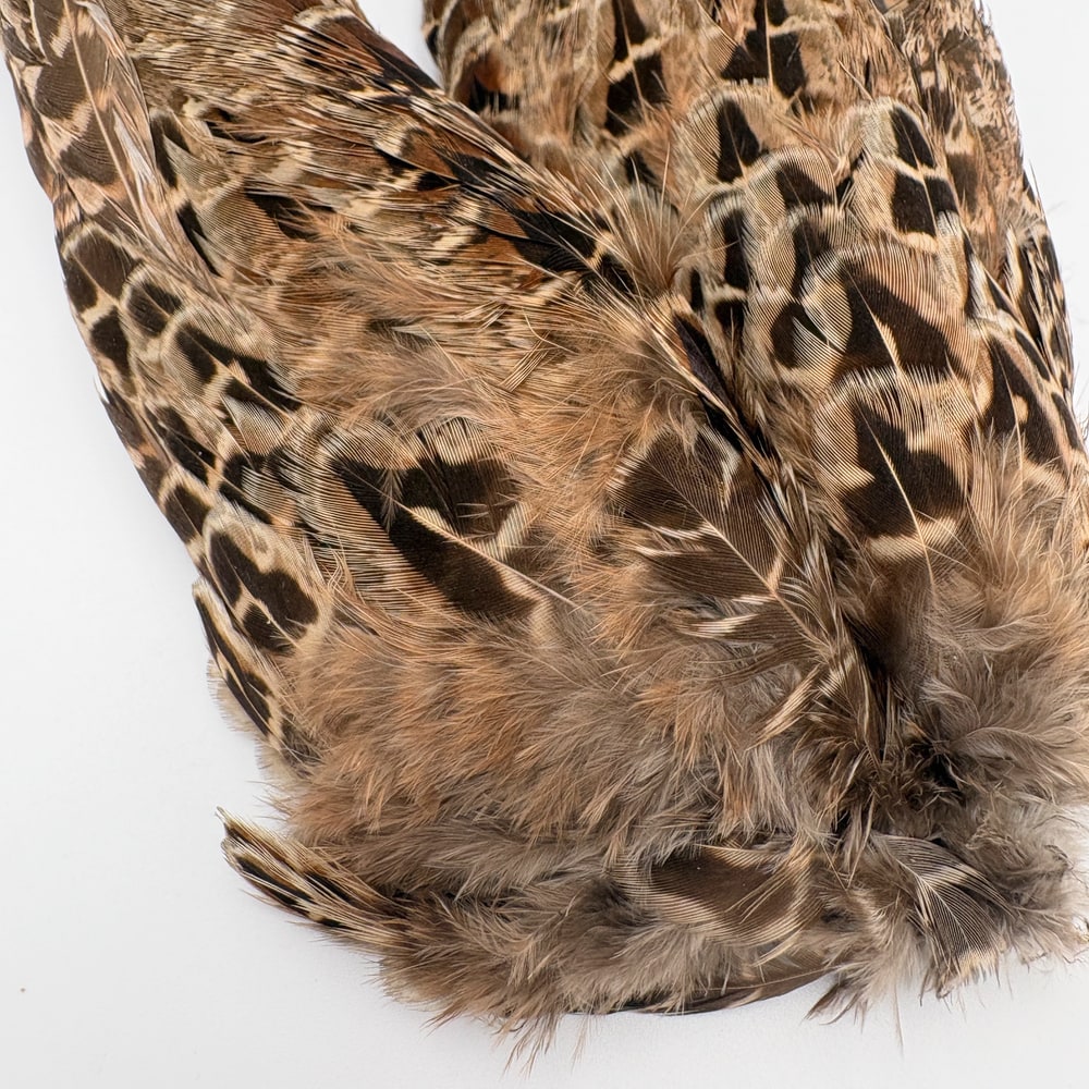 CANAL�ҡ��إ�ե������ �����󥰡���CN253��