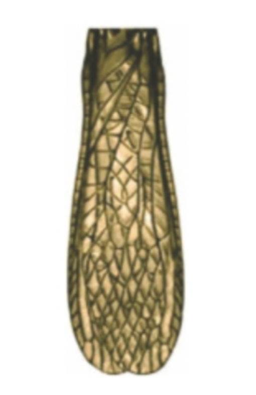 VANIA�ҡ����ȡ���ե饤������