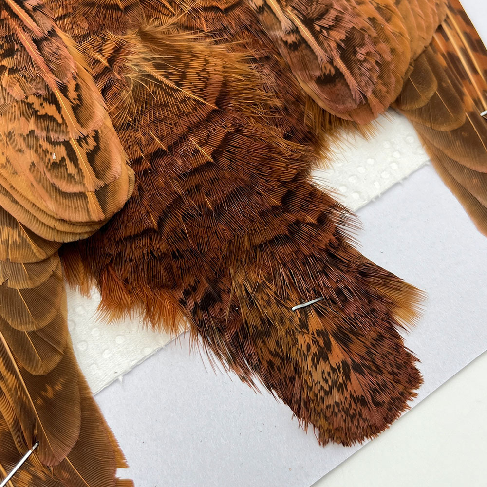 CANAL社 パートリッジ （ブラウン）No.1