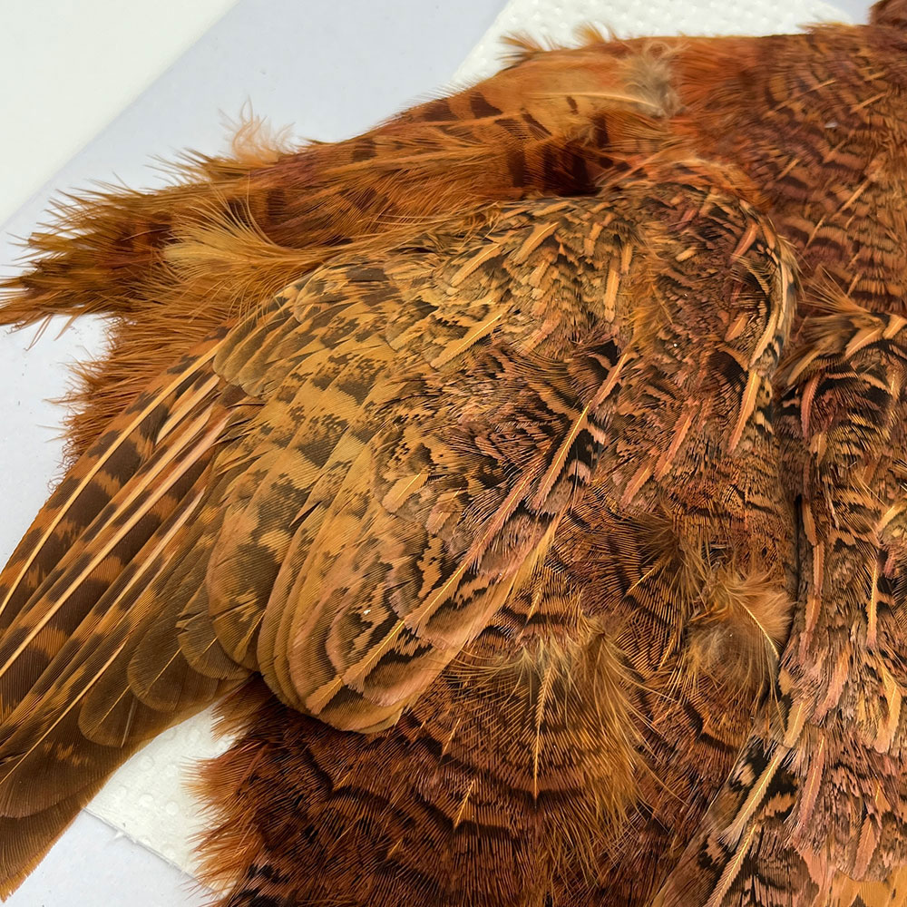 CANAL社 パートリッジ （ブラウン）No.1