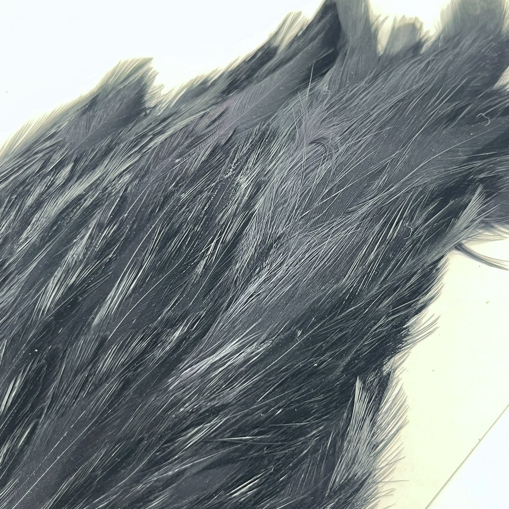 CANAL�ҡ����ԥʡ������� �֥�å���SA No.1