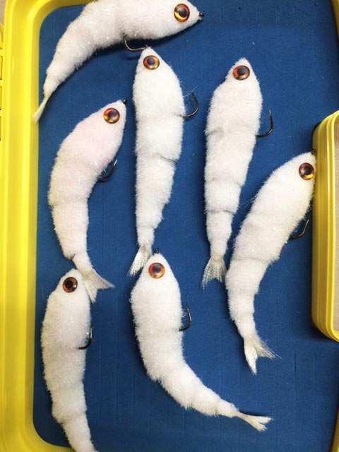 ����������󥸥㡼����/���ʥѡ���ۥ磻�ȡ�