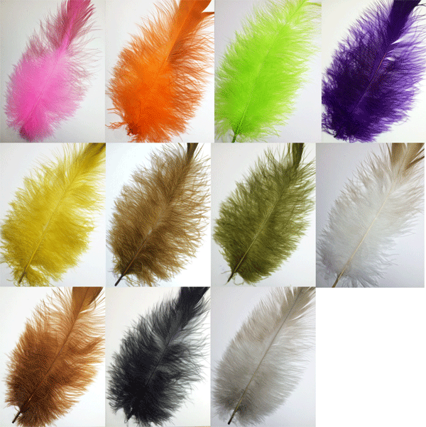 フライフィッシング用羽毛マテリアル