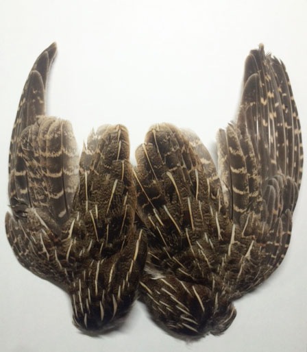 ����ʥ�ҡ��ѡ��ȥ�å�������[CN161]