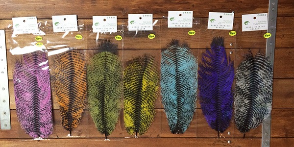 コンポーネントストラト 良質美品 プラスチック・パーツ｜ストラトキャスター用のパーツ｜ストラト