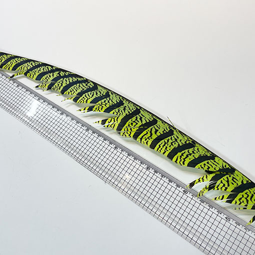 ����ʥ�ҡ�����ϡ����ȥե�����ȥơ��롡�ò�