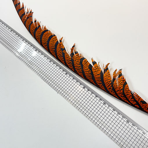 ����ʥ�ҡ�����ϡ����ȥե�����ȥơ��롡�ò�