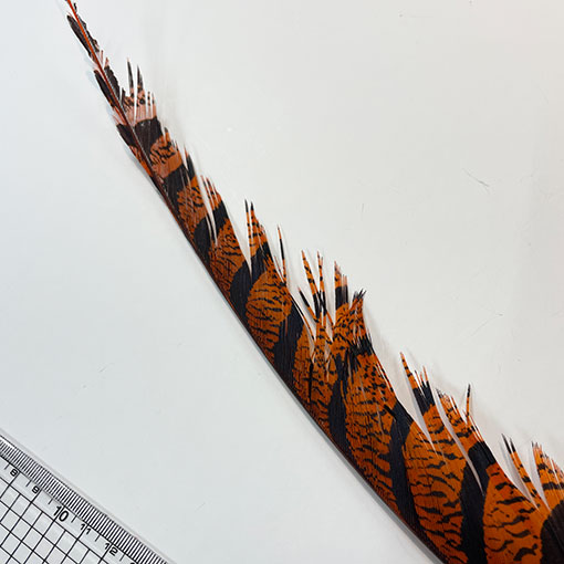 ����ʥ�ҡ�����ϡ����ȥե�����ȥơ��롡�ò�