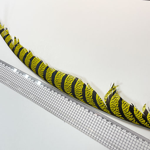 ����ʥ�ҡ�����ϡ����ȥե�����ȥơ��롡�ò�