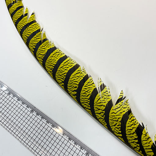 ����ʥ�ҡ�����ϡ����ȥե�����ȥơ��롡�ò�