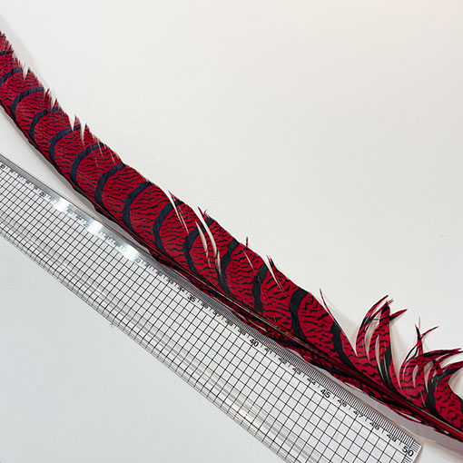 ����ʥ�ҡ�����ϡ����ȥե�����ȥơ��롡�ò�