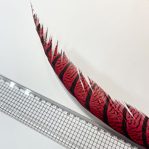 ����ʥ�ҡ�����ϡ����ȥե�����ȥơ��롡�ò�