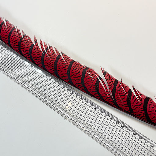 ����ʥ�ҡ�����ϡ����ȥե�����ȥơ��롡�ò�