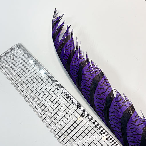 ����ʥ�ҡ�����ϡ����ȥե�����ȥơ��롡�ò�