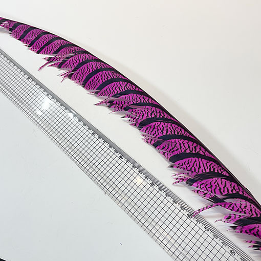 ����ʥ�ҡ�����ϡ����ȥե�����ȥơ��롡�ò�