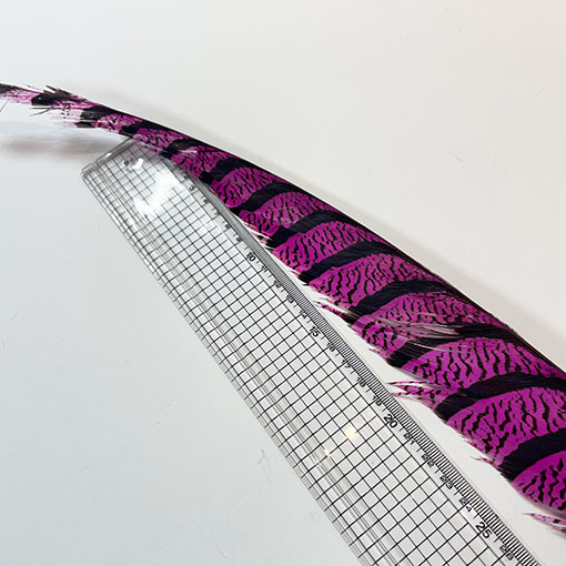 ����ʥ�ҡ�����ϡ����ȥե�����ȥơ��롡�ò�