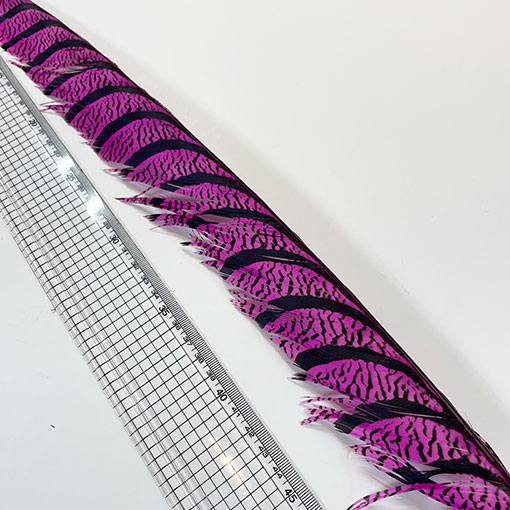 ����ʥ�ҡ�����ϡ����ȥե�����ȥơ��롡�ò�