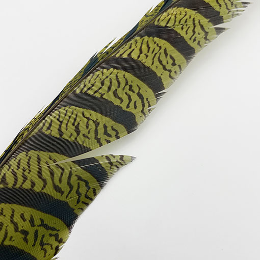 ����ʥ�ҡ�����ϡ����ȥե�����ȥơ��롡�ò�