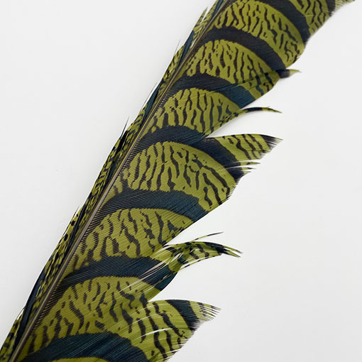 ����ʥ�ҡ�����ϡ����ȥե�����ȥơ��롡�ò�