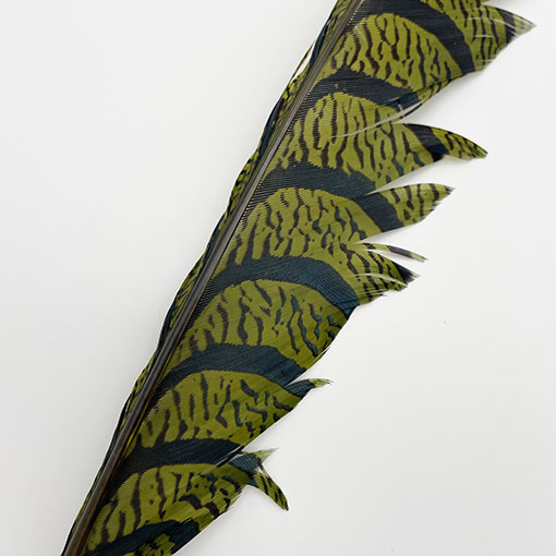 ����ʥ�ҡ�����ϡ����ȥե�����ȥơ��롡�ò�