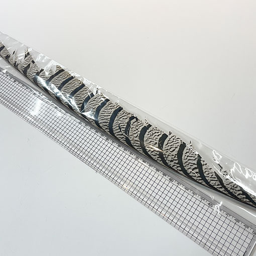 ����ʥ�ҡ�����ϡ����ȥե�����ȥơ��롡�ò�