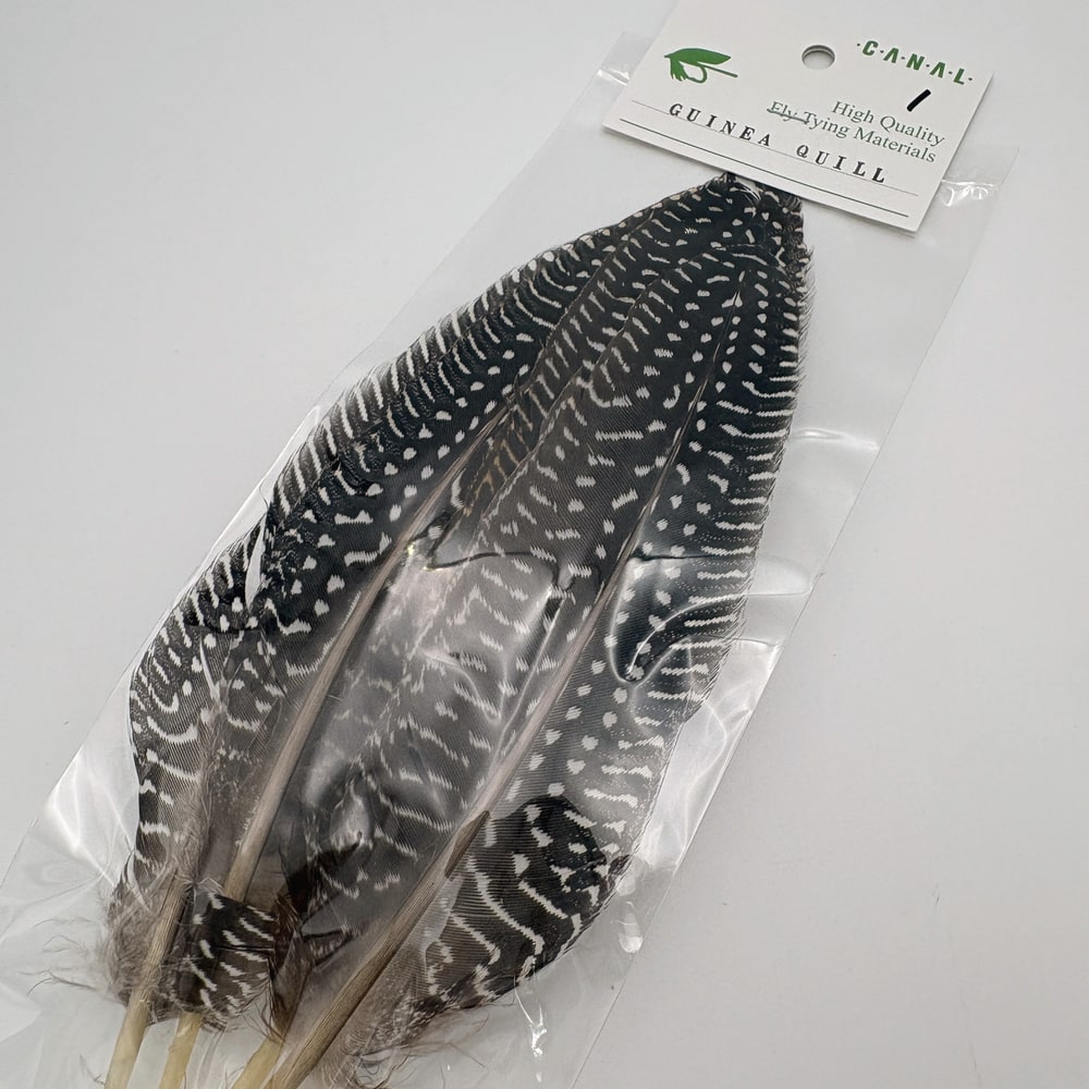 CANAL�ҡ����˥������롡