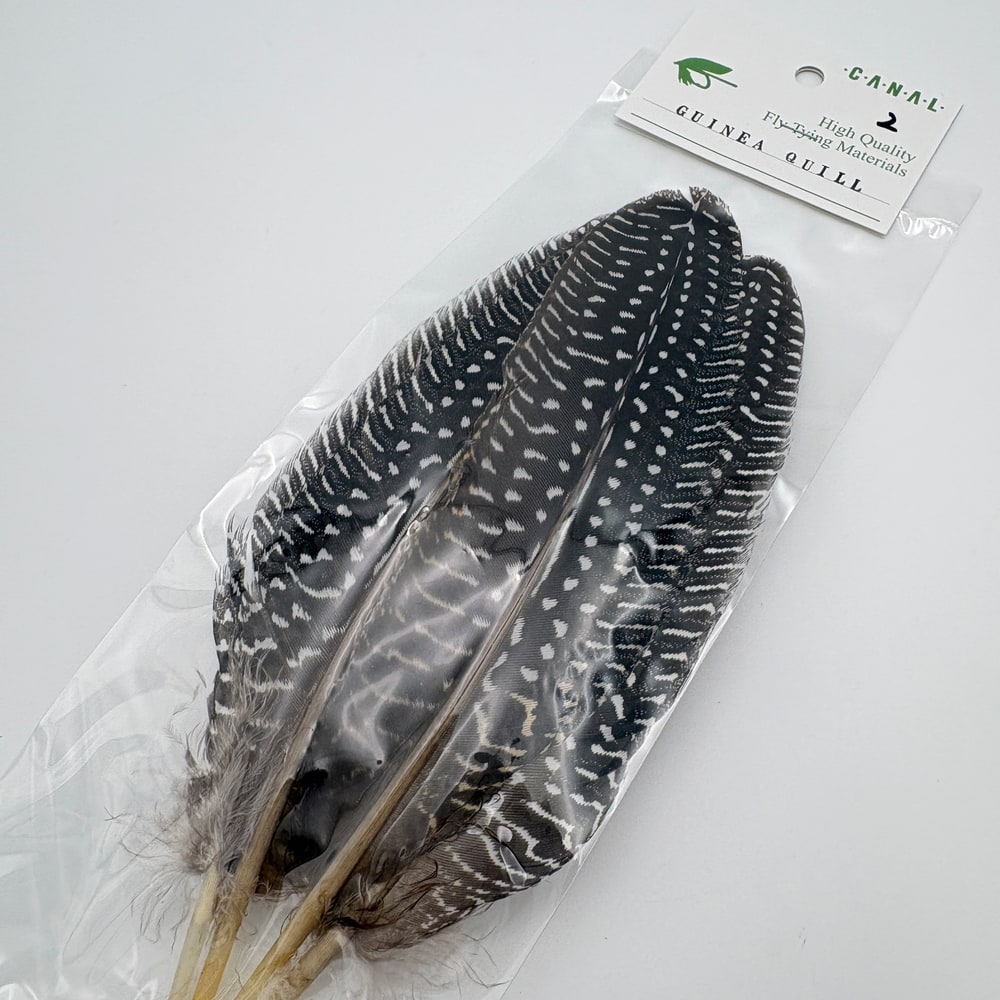 CANAL�ҡ����˥������롡