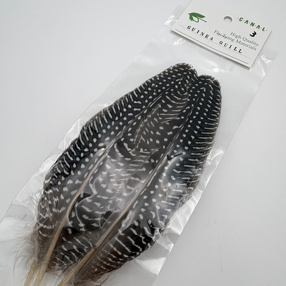 CANAL�ҡ����˥������롡