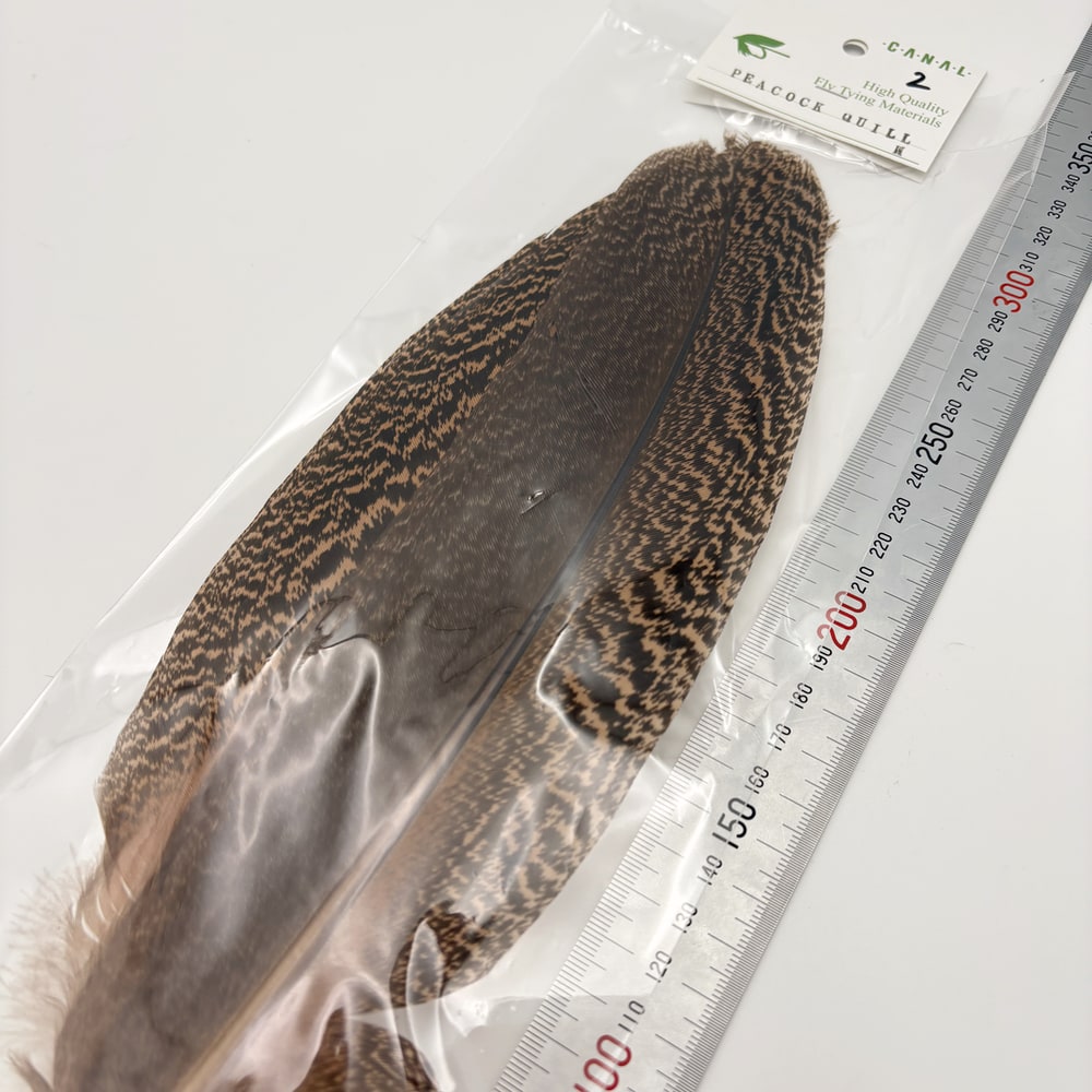 CANAL�ҡ��ԡ����å��������M��������