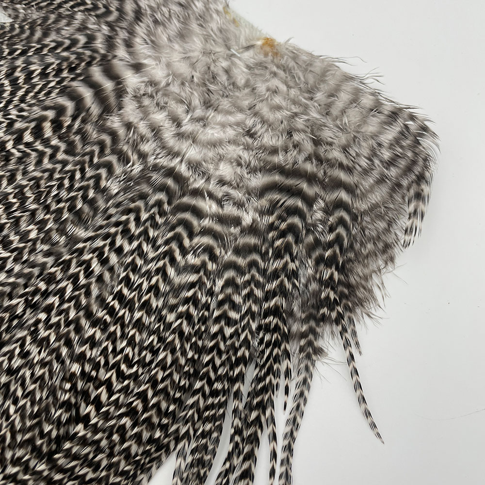 KEOUGH ���å����ɥ롡���졼��1�� �ʥ��ꥺ�꡼�� No.2