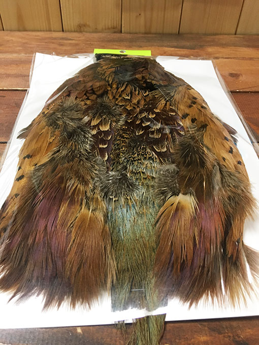 KenCube �����ɥ��å��ե������ ������