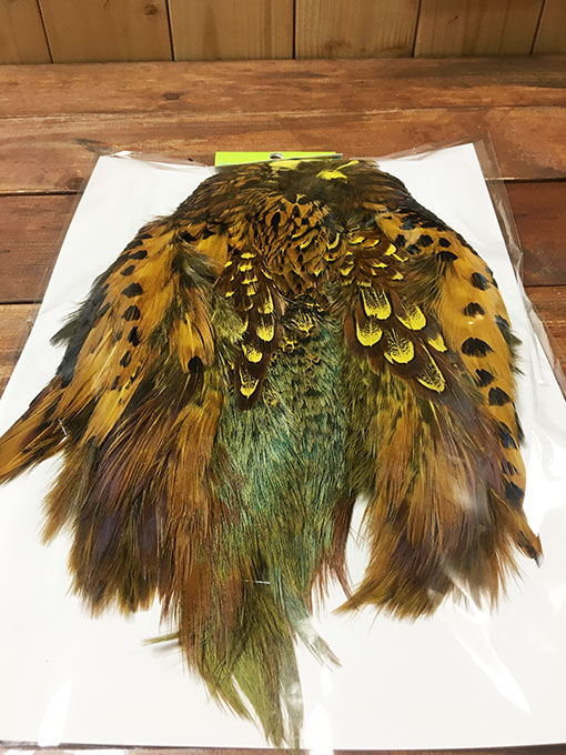 KenCube �����ɥ��å��ե������ ������