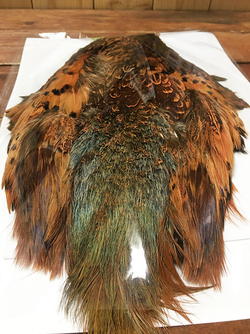 KenCube �����ɥ��å��ե������ ������